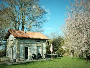 La Gare Aux Anes