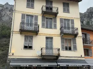 阿爾卑斯花卉酒店