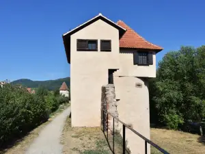 S'harzala Vert