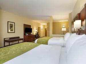 Comfort Suites Greenville South