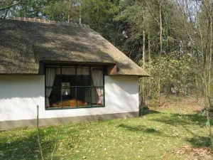 Forest Villa in Herperduin with Bubble Bath