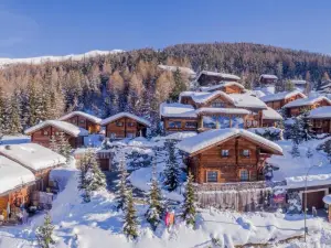 パーク シャレー ビレッジ