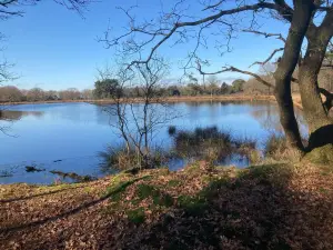 Bed & Breakfast Beilerhorst