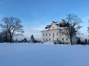 Hotel Pałac Borynia