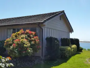 Arky's B&B