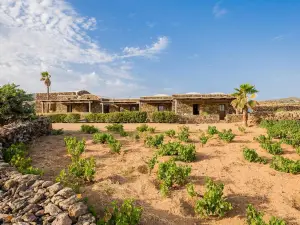 Abraxas Vigne di Pantelleria - Tenuta Bukkuram
