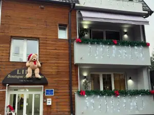 Apartments Lido