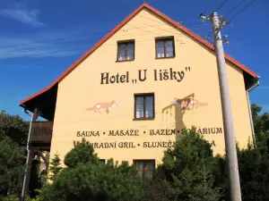 Hotel U Lisky
