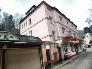 Hotel Kotva