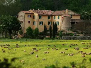 Une Campagne En Provence