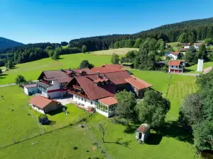Hotel Hirschenstein