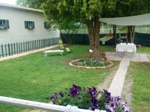 Art b&b Gli Aironi