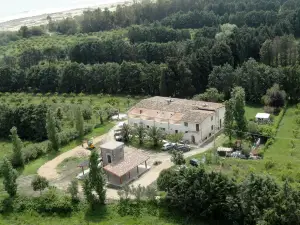 Agriturismo Torre Del Golfo