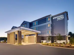 朴茨茅斯漢普頓萬豪SpringHill Suites酒店