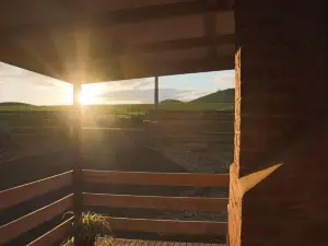 Black Rock Cottage - Gateway To The Great Ocean Road