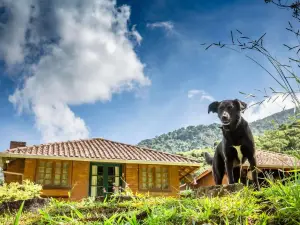 Estalagem Engenho de Serra - Parque Nacional do Itatiaia - Parte Alta