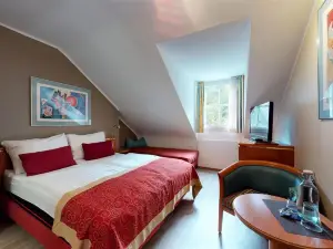 Hotel Alt Montjoie