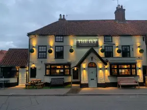 The Ivy
