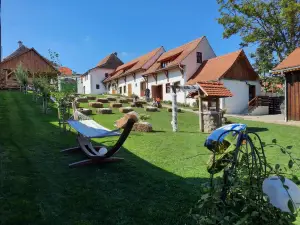 Veseud11