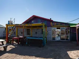 Lobo Hostel Bar