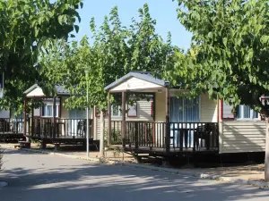 Camping Fayón Fishing