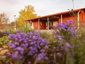Prague Camping Dzban