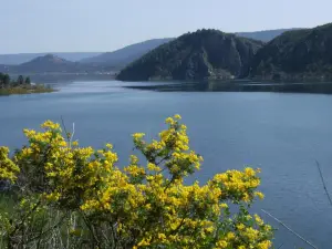 瑪麗布蘭卡鄉村飯店