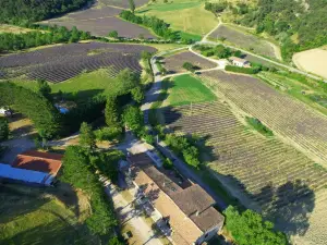 Auberge de Mielandre