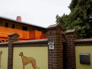 L&L Skaters Home