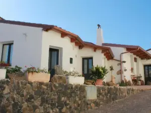 Holiday Mandrolisai Doc