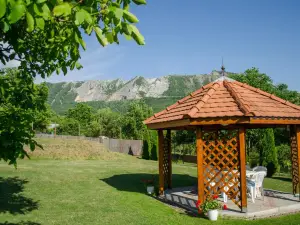 Apatsaguti Vendeghaz