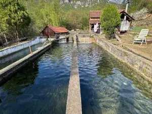 ŽUBOR Vrela