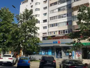 Casa Nicolae