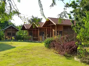 Alta Vista Amazon Lodge