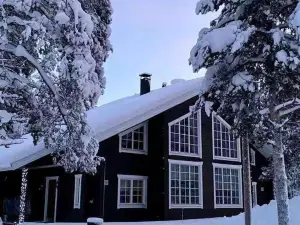 Northern Lights Lodge