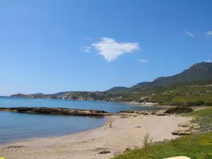Antas