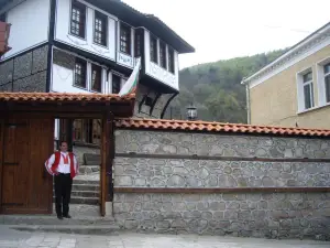 Popsokol House