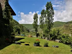 Taoskari Hotel