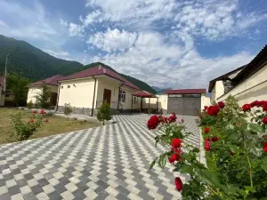 Alp Hotel