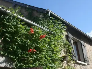 La Villonnière