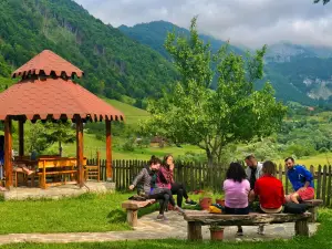 Guesthouse Alpini