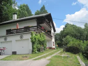 Chalet Catton Four Bedroom Appartement Near Bad Kleinkirchheim