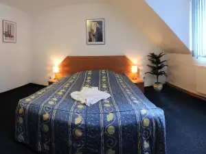 Wellness Hotel Svoboda