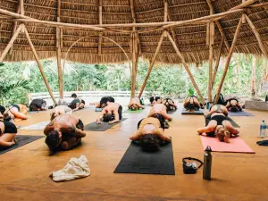 El Pital, Chocolate Paradise