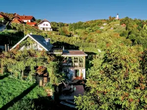 Vineyard Cottage Vercek