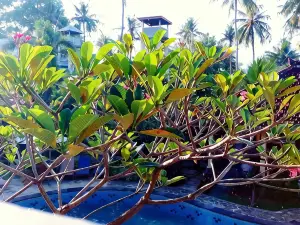 Hotel My Lovina