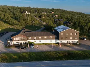 Torsetlia