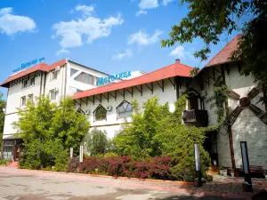 Metelitsa Hotel
