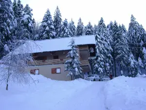 Apartment Medo