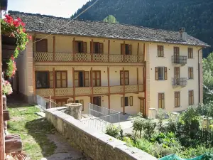 Mirtillo Alpino Casa Vacanze